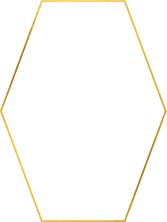 Gold Hexagon Border
